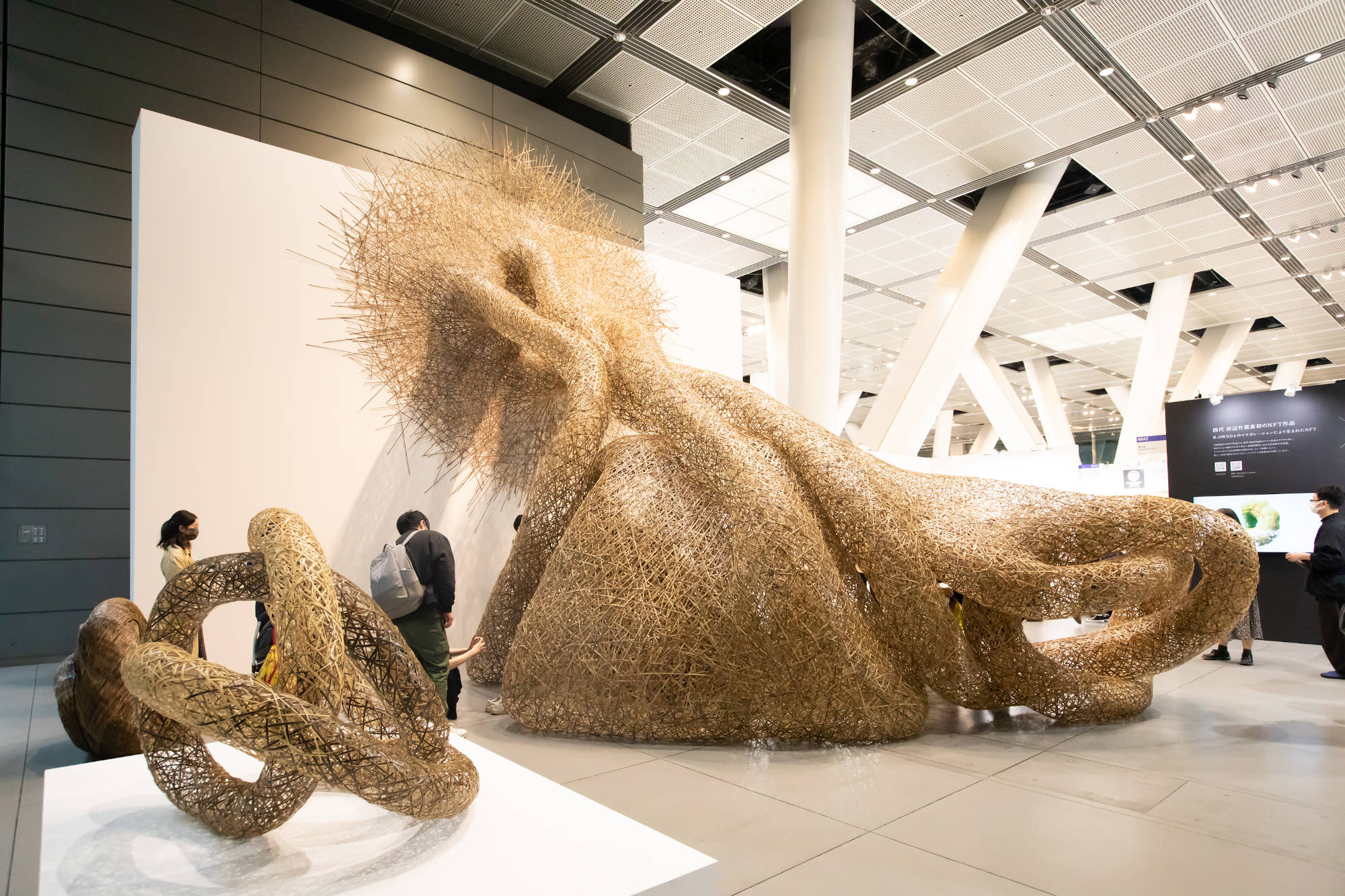 A83dffa0 2f9d 4566 abad 9fb3ea416795